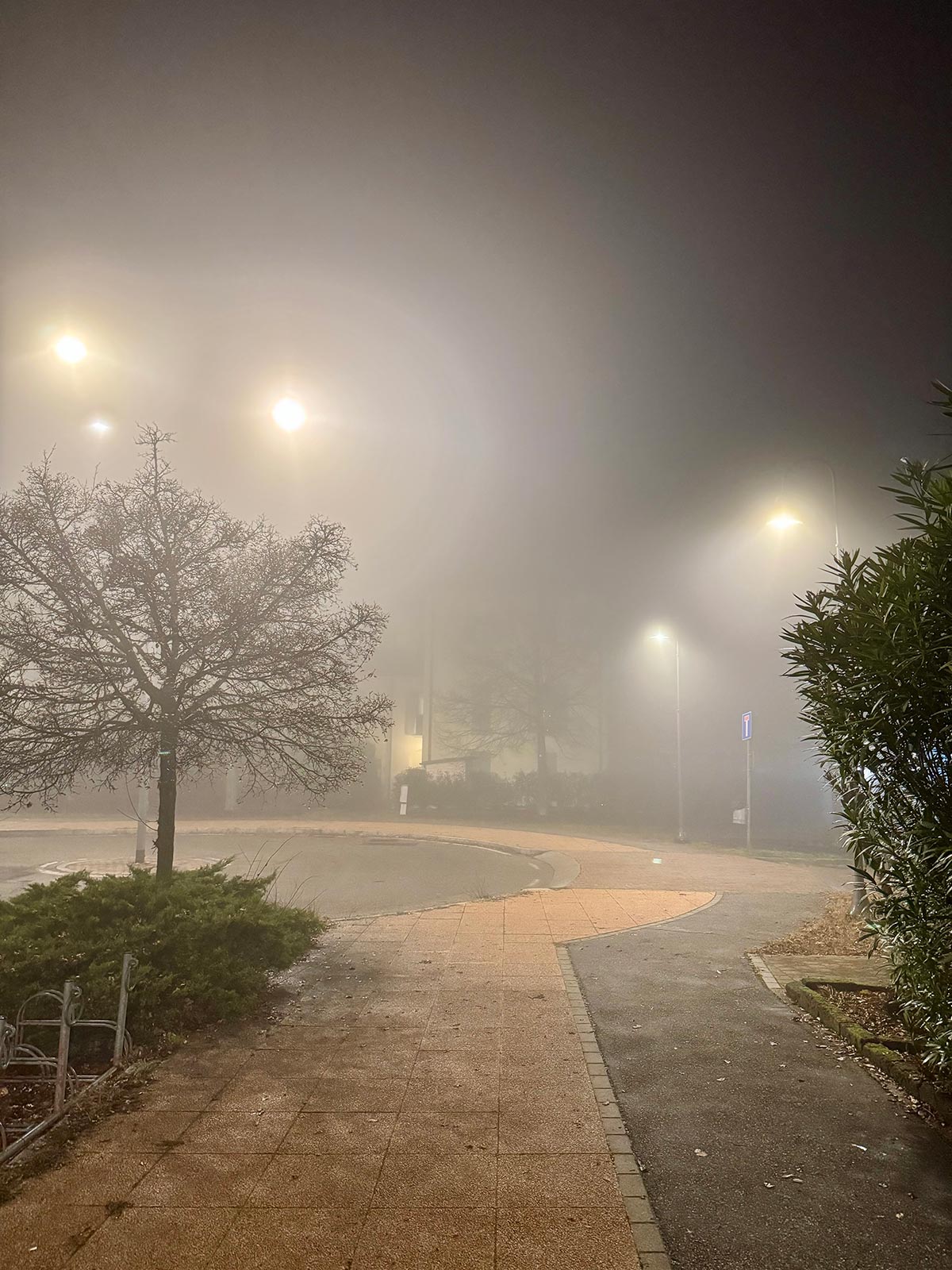 nebbia - ensof.it